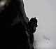  : Screenshot_12