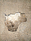 : IMG-20221223-WA0017
